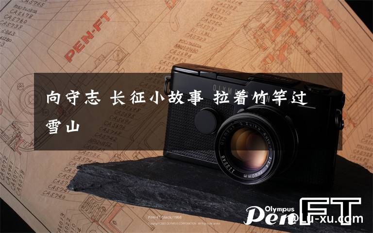 向守志 长征小故事 拉着竹竿过雪山