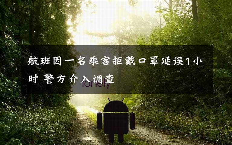 航班因一名乘客拒戴口罩延误1小时 警方介入调查
