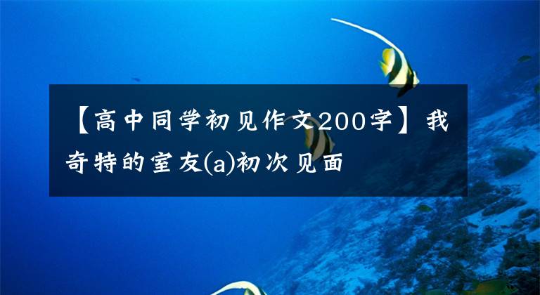 【高中同学初见作文200字】我奇特的室友(a)初次见面