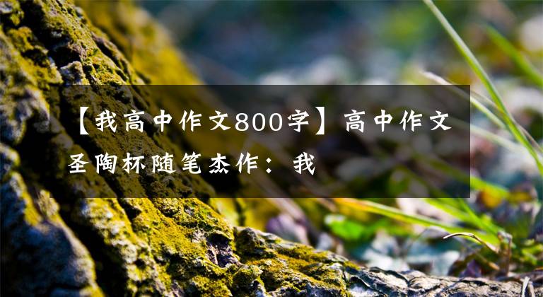 【我高中作文800字】高中作文圣陶杯随笔杰作:我
