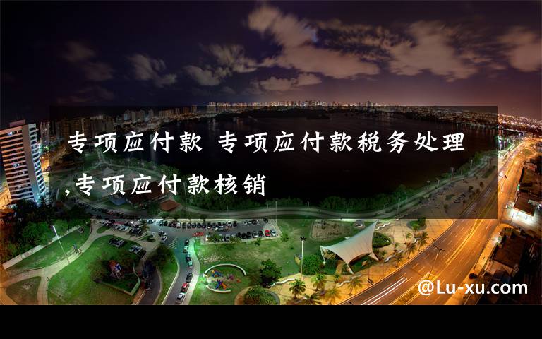 专项应付款 专项应付款税务处理,专项应付款核销