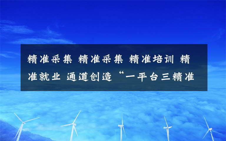 精准采集 精准采集 精准培训 精准就业 通道创造“一平台三精准全覆盖”就业扶贫模式