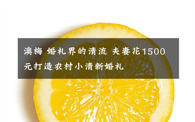 澳梅 婚礼界的清流 夫妻花1500元打造农村小清新婚礼