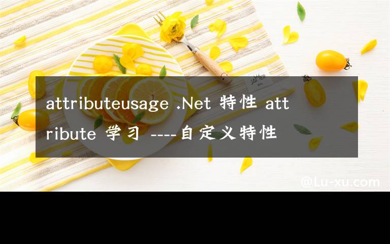 attributeusage .Net 特性 attribute 学习 ----自定义特性