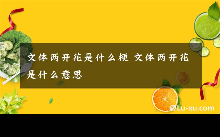 文体两开花是什么梗 文体两开花是什么意思