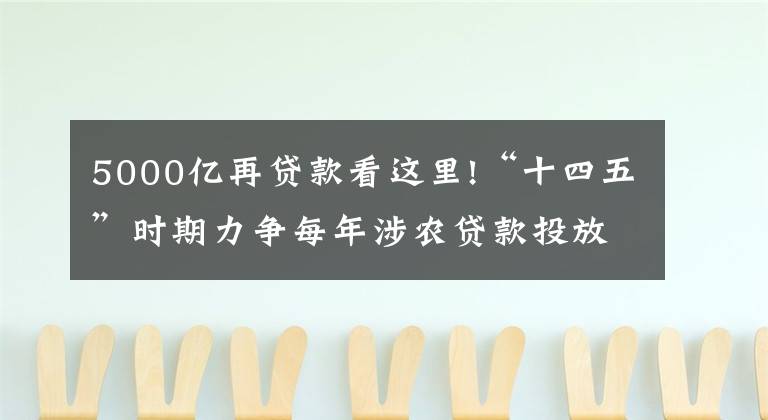 5000亿再贷款看这里!“十四五”时期力争每年涉农贷款投放不低于5000亿 邮储银行探索金融科技赋能乡村振兴新路径