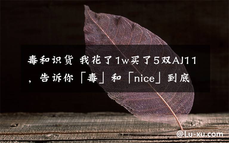 毒和识货 我花了1w买了5双AJ11,告诉你「毒」和「nice」到底谁买鞋更好用!