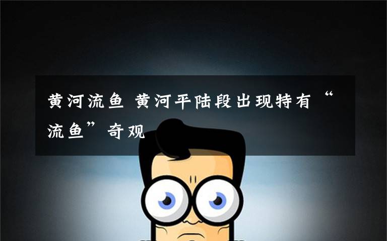 黄河流鱼 黄河平陆段出现特有“流鱼”奇观
