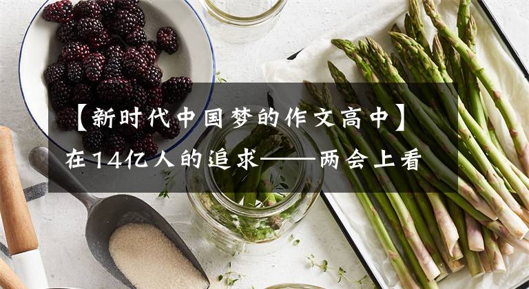 【新时代中国梦的作文高中】在14亿人的追求——两会上看到“中国梦”的新旅程。