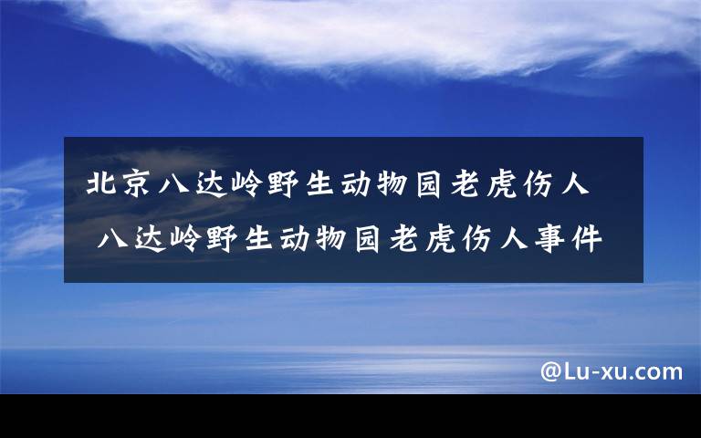 北京八达岭野生动物园老虎伤人 八达岭野生动物园老虎伤人事件追踪 吃活物长大野性十足