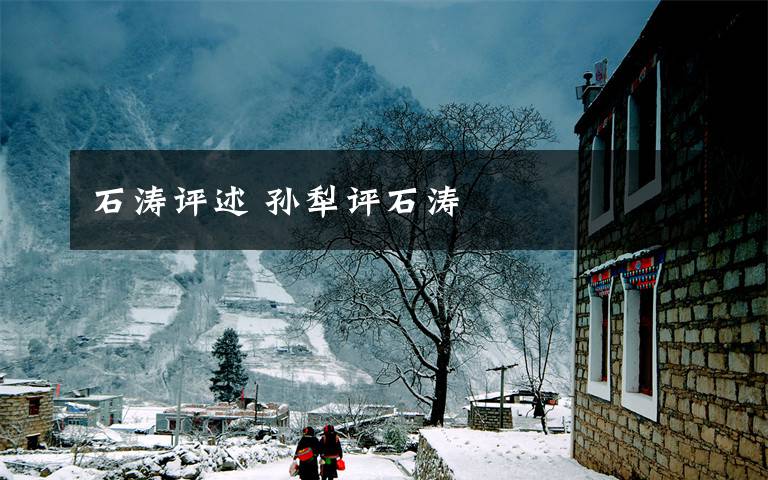 石涛评述 孙犁评石涛