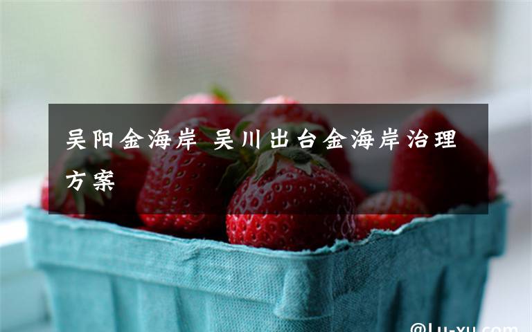 吴阳金海岸 吴川出台金海岸治理方案