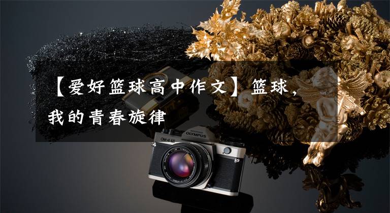 【爱好篮球高中作文】篮球,我的青春旋律