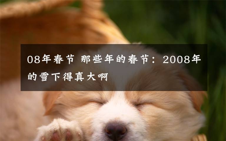 08年春节 那些年的春节:2008年的雪下得真大啊