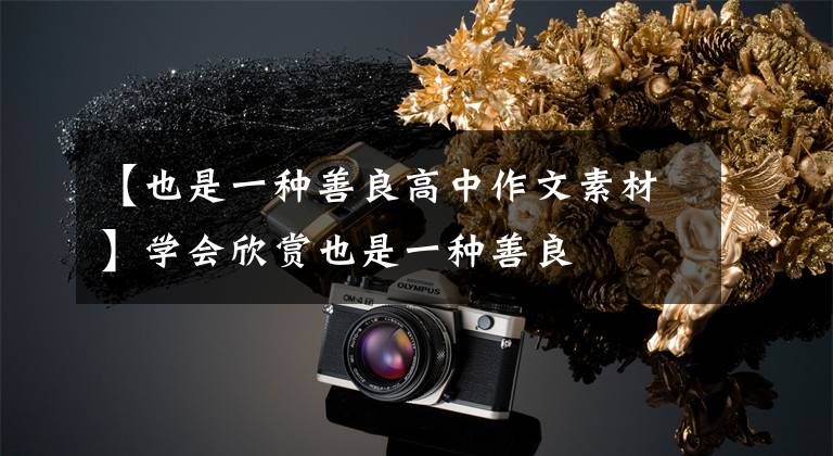 【也是一种善良高中作文素材】学会欣赏也是一种善良