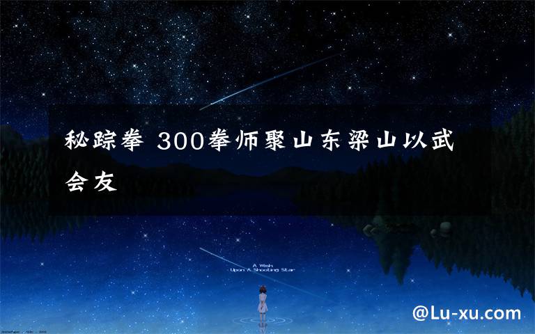秘踪拳 300拳师聚山东梁山以武会友