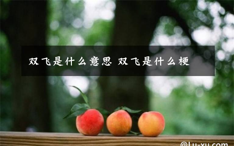 双飞是什么意思 双飞是什么梗