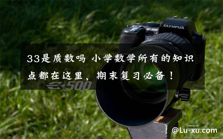 33是质数吗 小学数学所有的知识点都在这里,期末复习必备!