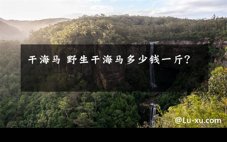 干海马 野生干海马多少钱一斤？