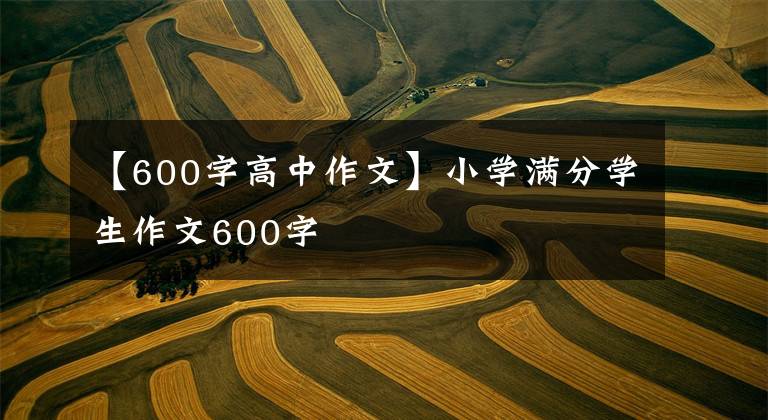 【600字高中作文】小学满分学生作文600字