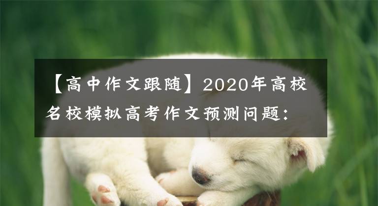 【高中作文跟随】2020年高校名校模拟高考作文预测问题:沉潜中的追随与超越