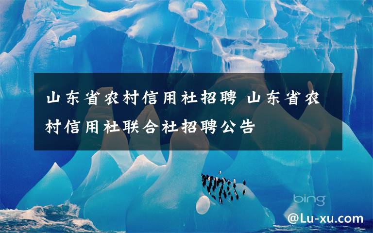 山东省农村信用社招聘 山东省农村信用社联合社招聘公告