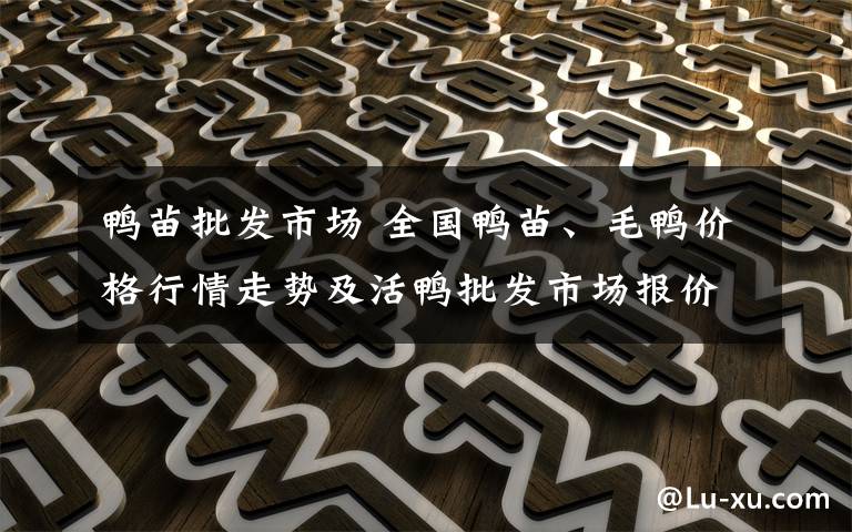 鸭苗批发市场 全国鸭苗、毛鸭价格行情走势及活鸭批发市场报价