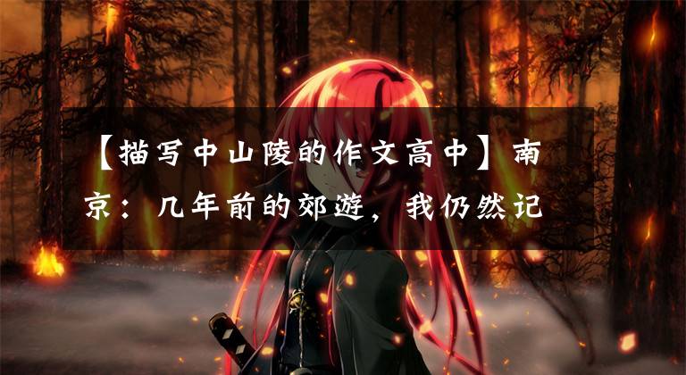 【描写中山陵的作文高中】南京:几年前的郊游,我仍然记得越江路温暖的羊。