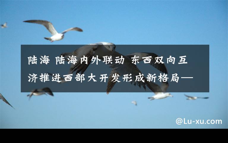 陆海 陆海内外联动 东西双向互济推进西部大开发形成新格局——市政府口岸物流办负责人解读《重庆市推进西部陆海新通道建设实施方案》