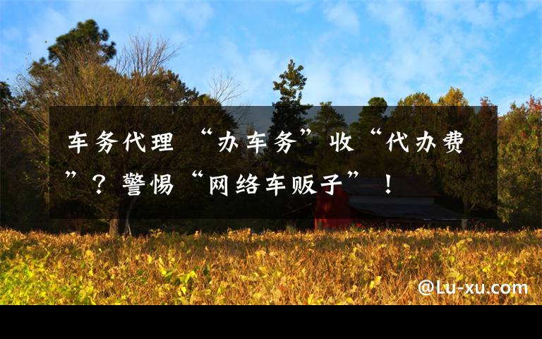 车务代理 “办车务”收“代办费”?警惕“网络车贩子”!