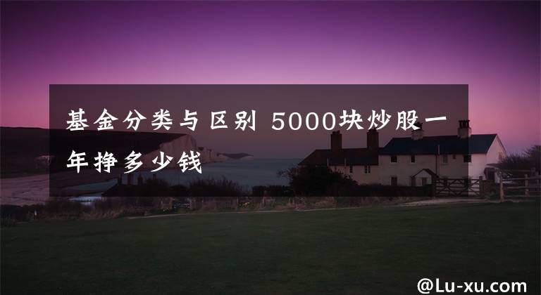 基金分类与区别 5000块炒股一年挣多少钱