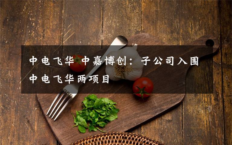 中电飞华 中嘉博创:子公司入围中电飞华两项目