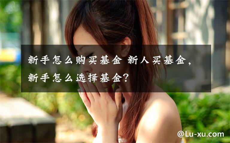 新手怎么购买基金 新人买基金,新手怎么选择基金?
