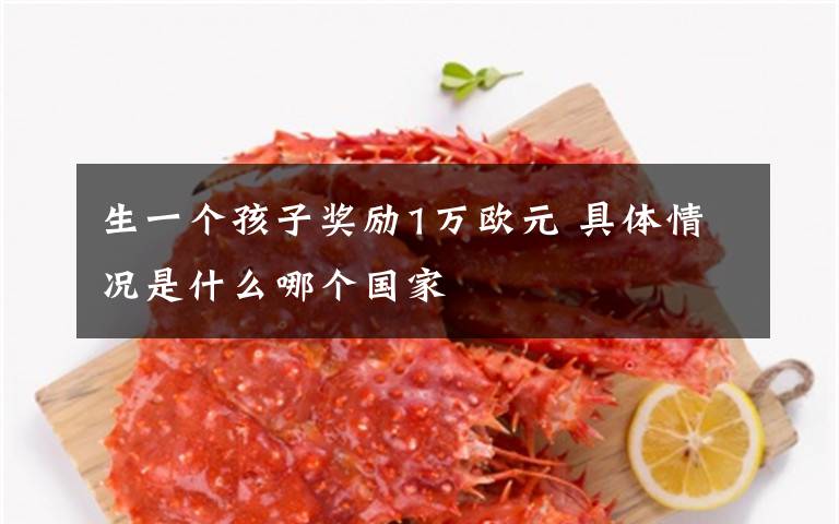 生一个孩子奖励1万欧元 具体情况是什么哪个国家