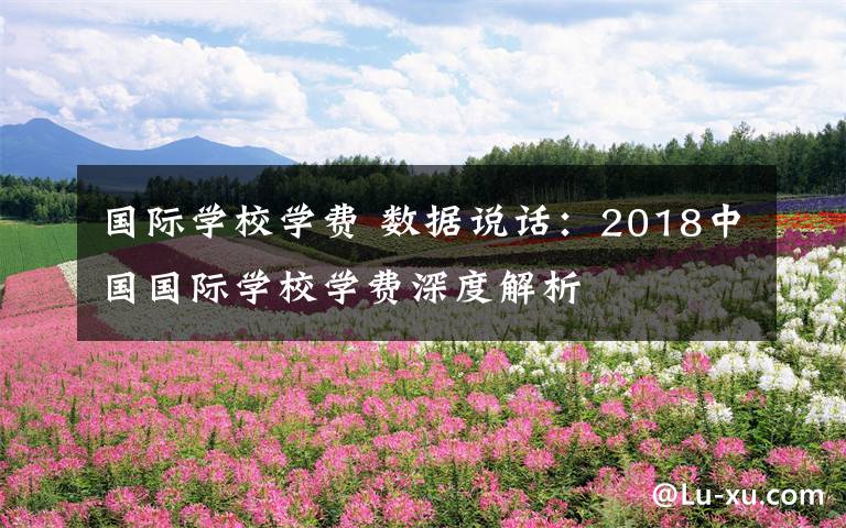 国际学校学费 数据说话:2018中国国际学校学费深度解析