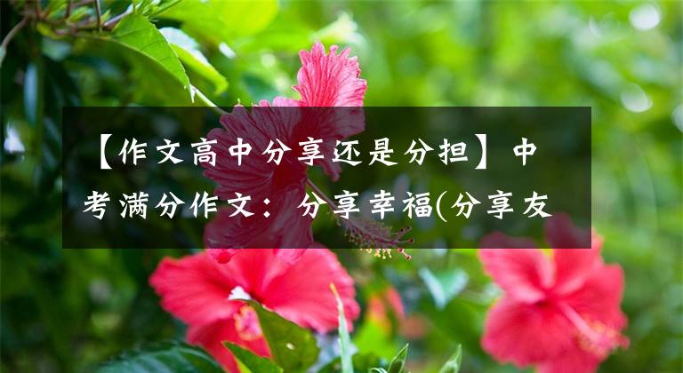 【作文高中分享还是分担】中考满分作文:分享幸福(分享友情和亲情)