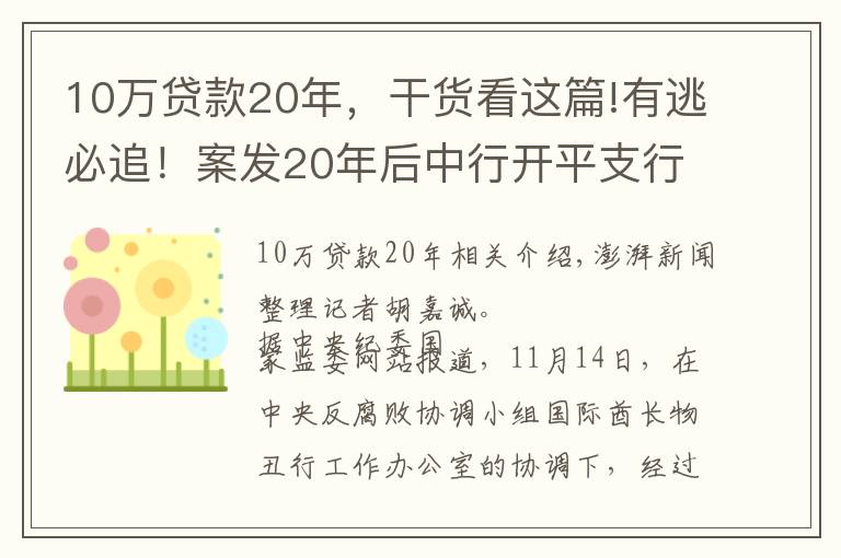 10万贷款20年，干货看这篇!有逃必追！案发20年后中行开平支行案3名主犯均已遣返回国