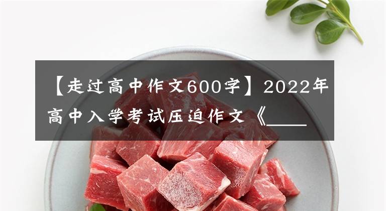 【走过高中作文600字】2022年高中入学考试压迫作文《______伴我前行》