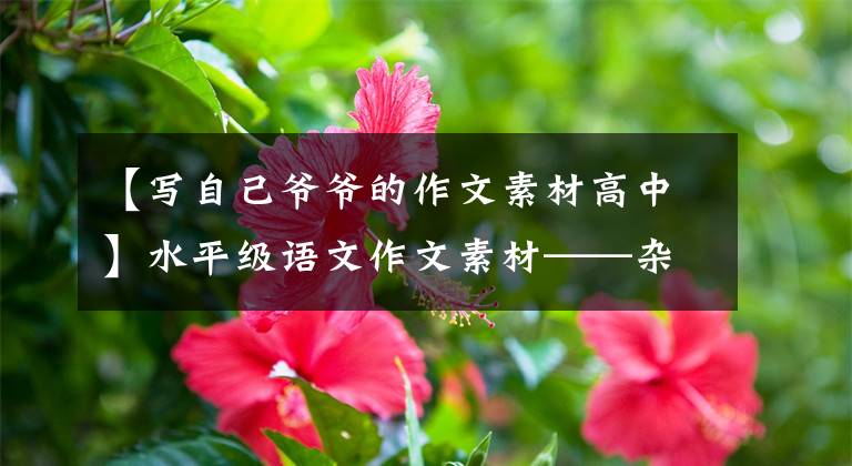 【写自己爷爷的作文素材高中】水平级语文作文素材——杂交水稻之父!一手抓住时政、热点、评分点