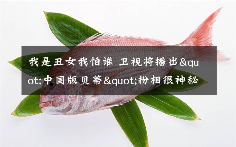 我是丑女我怕谁 卫视将播出"中国版贝蒂"扮相很神秘