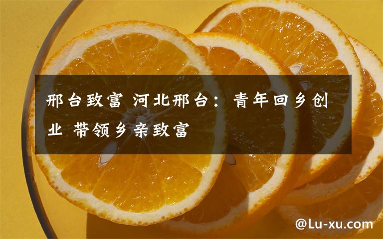 邢台致富 河北邢台:青年回乡创业 带领乡亲致富