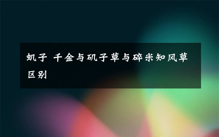 虮子 千金与矶子草与碎米知风草区别