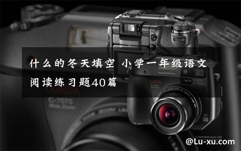 什么的冬天填空 小学一年级语文阅读练习题40篇