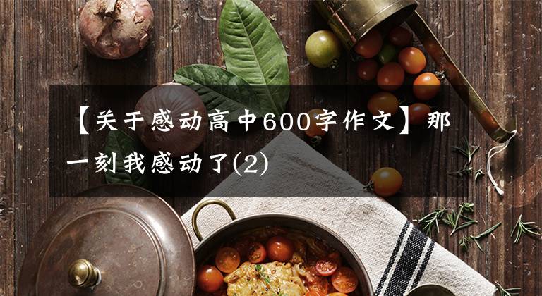 【关于感动高中600字作文】那一刻我感动了(2)