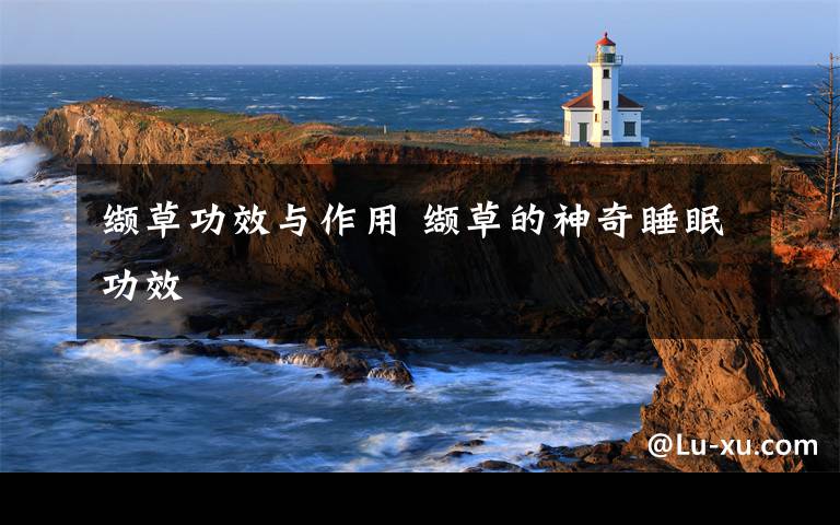 缬草功效与作用 缬草的神奇睡眠功效