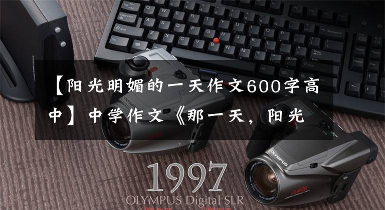 【阳光明媚的一天作文600字高中】中学作文《那一天,阳光灿烂》