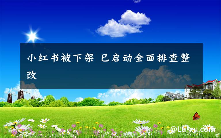 小红书被下架 已启动全面排查整改