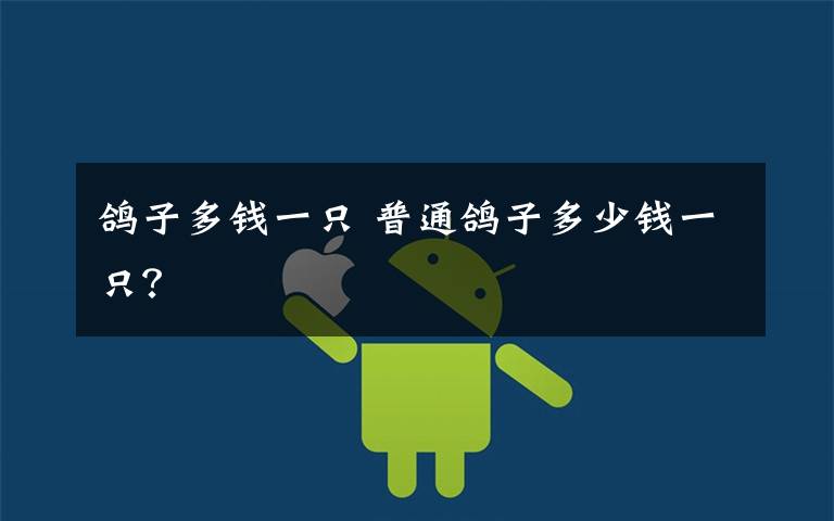 鸽子多钱一只 普通鸽子多少钱一只?