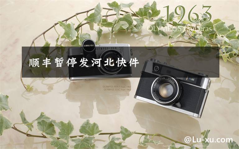 顺丰暂停发河北快件