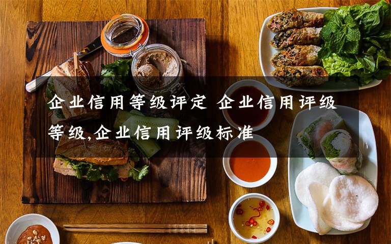 企业信用等级评定 企业信用评级等级,企业信用评级标准